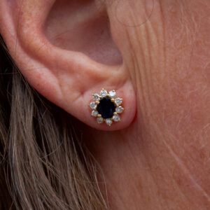 Lyxiga carmouséörhängen